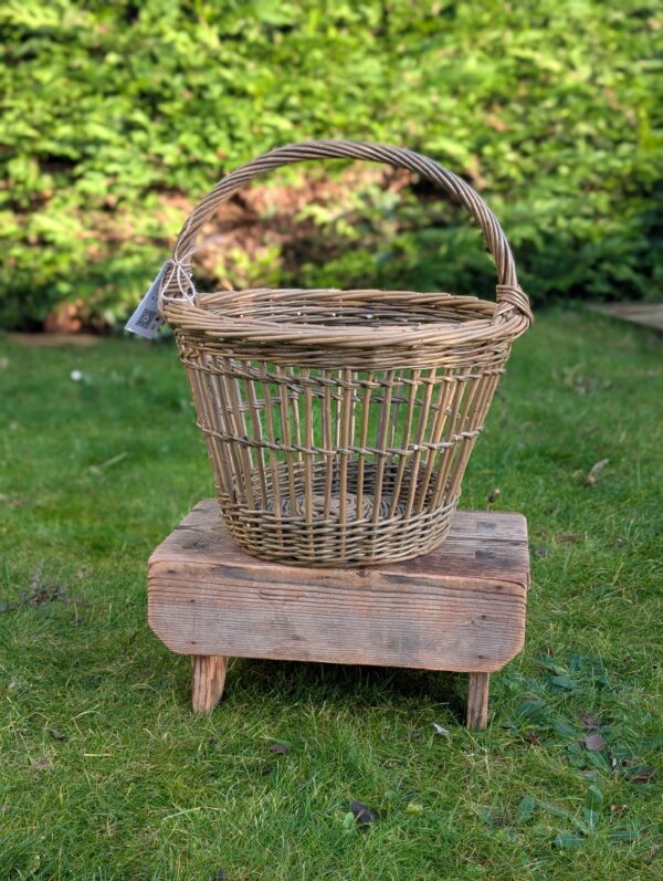 Strawberry Basket - An Sùbh-làir