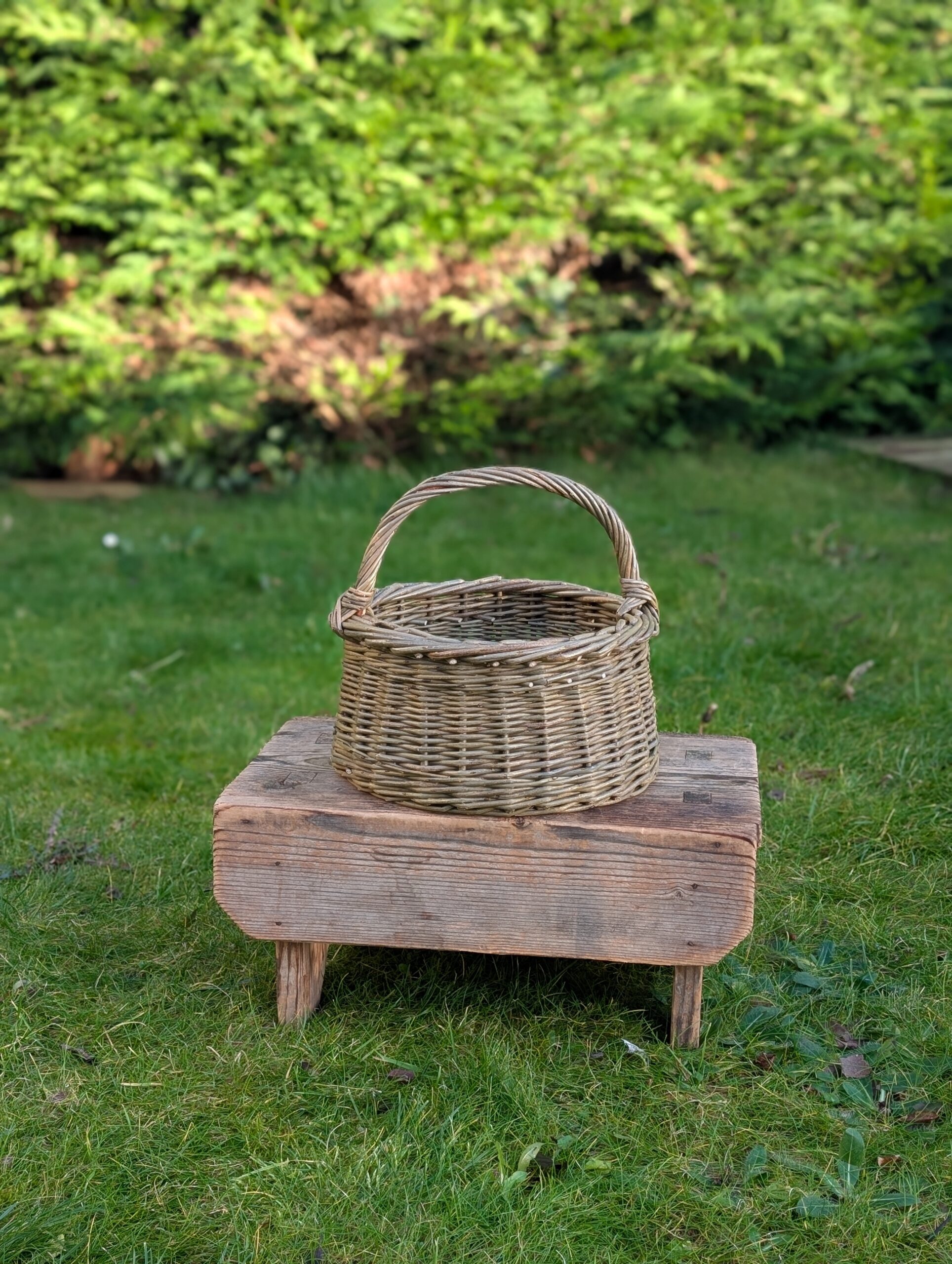 Egg basket - An t-Ugh - Image 3