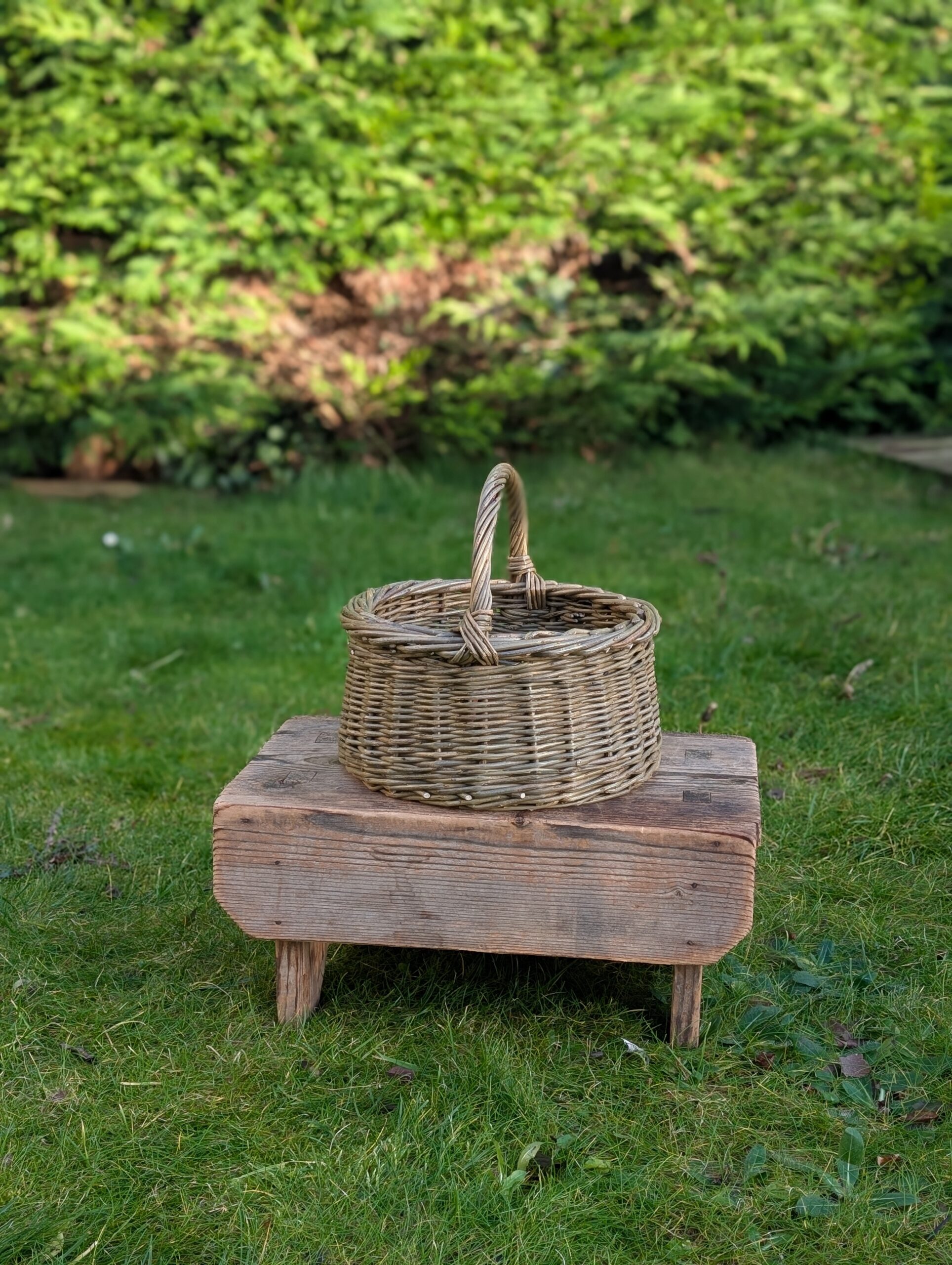 Egg basket - An t-Ugh - Image 4