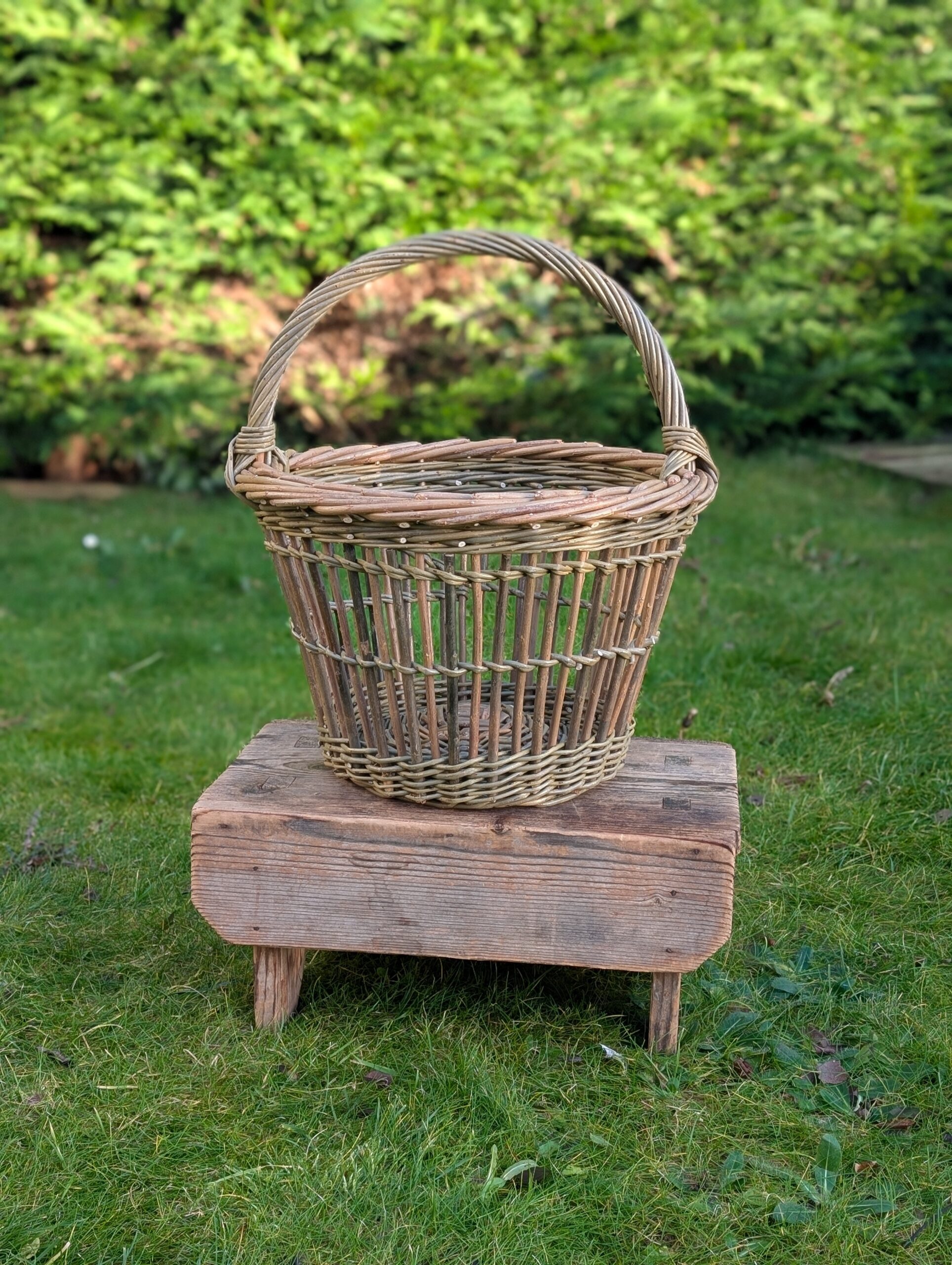 Strawberry Basket – An Sùbh-làir