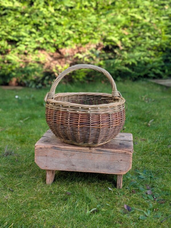 Round Forager - An Tursaire Cruinn *SECOND*