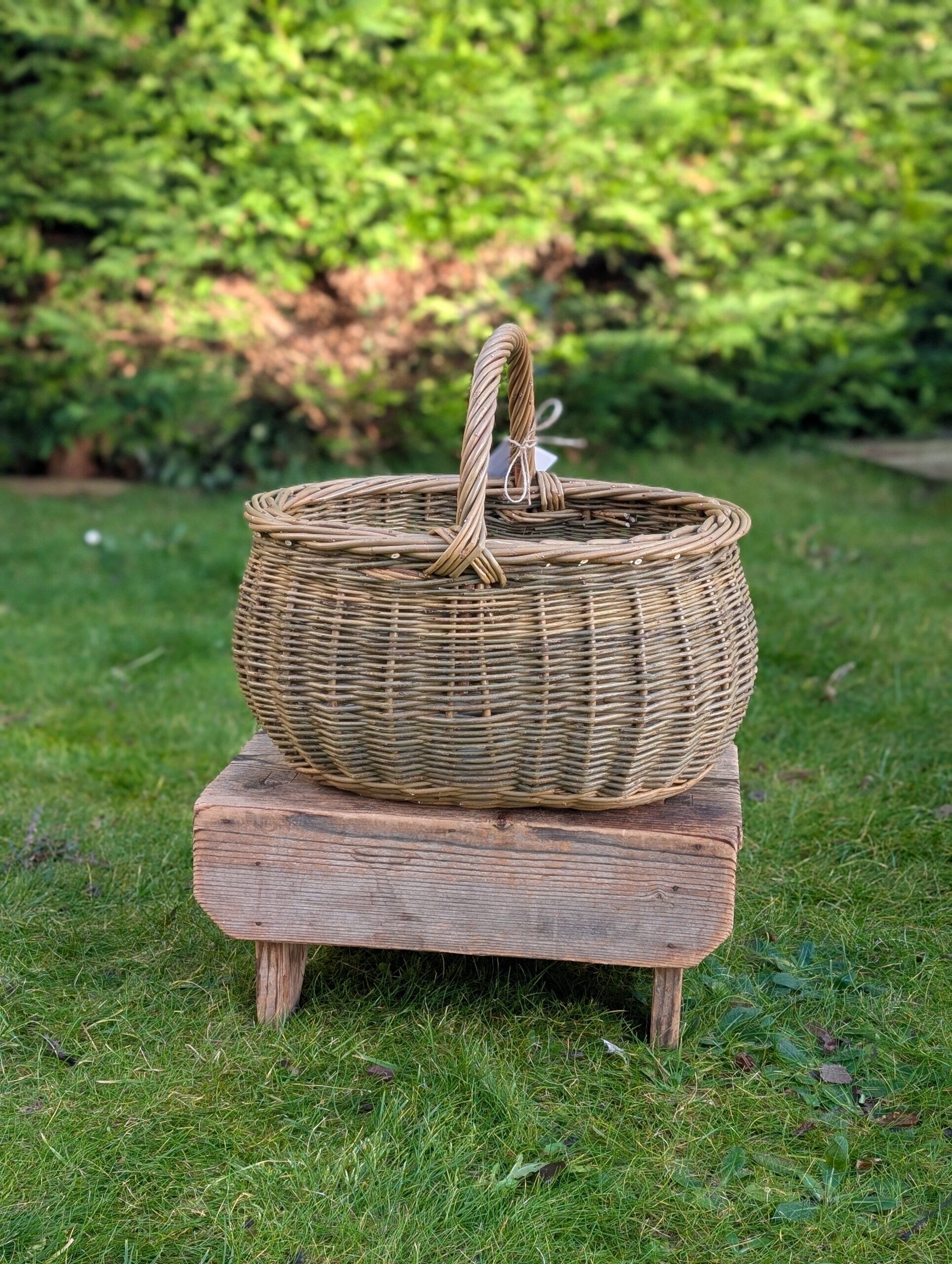 Bellied Shopper – An Ceannaiche Mhàsach