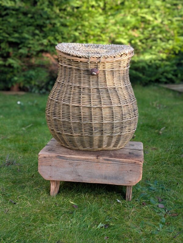 Backpack - Am Poca-droma