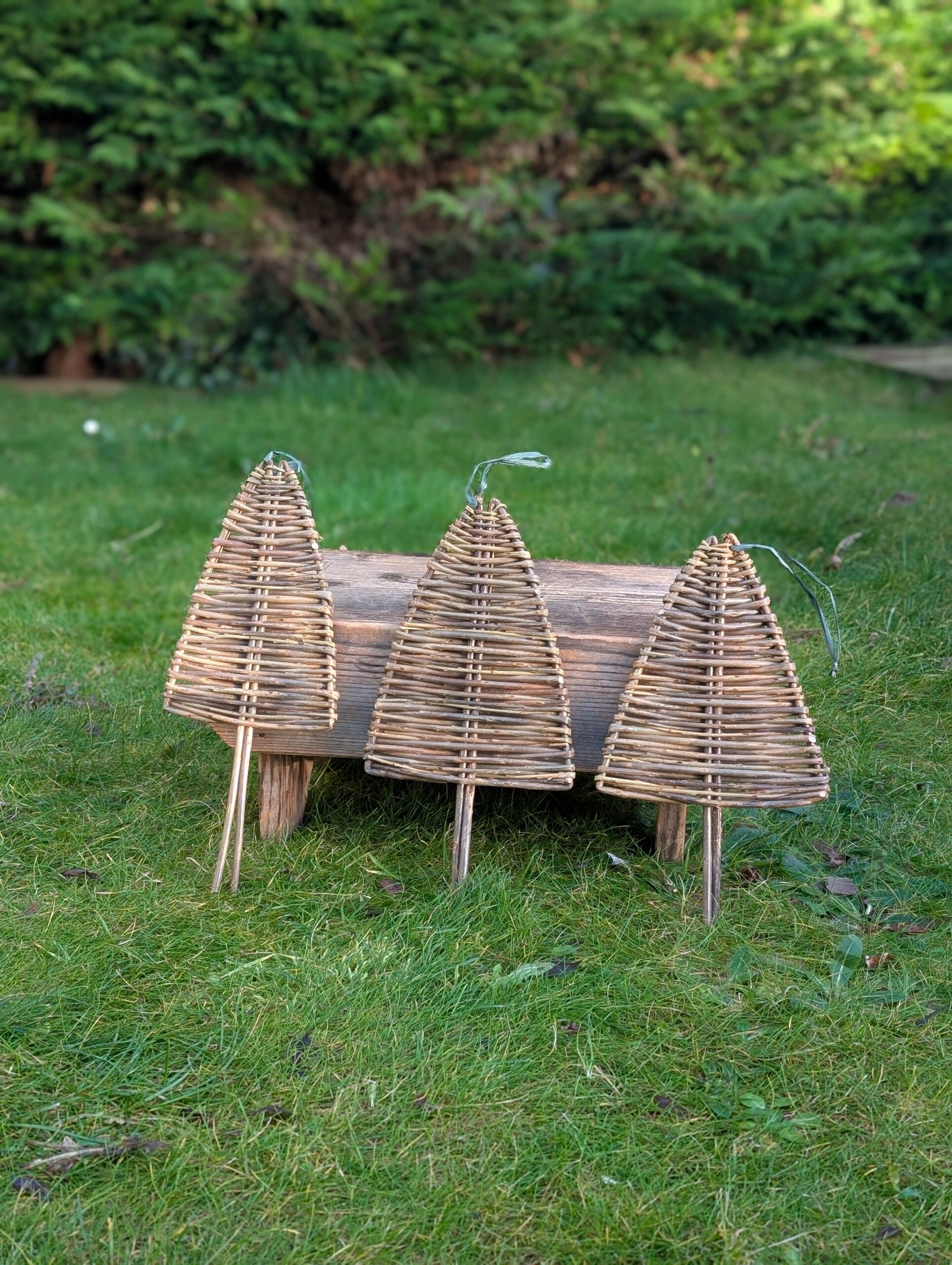 Christmas Trees - Craobhan Nollaige - Image 2