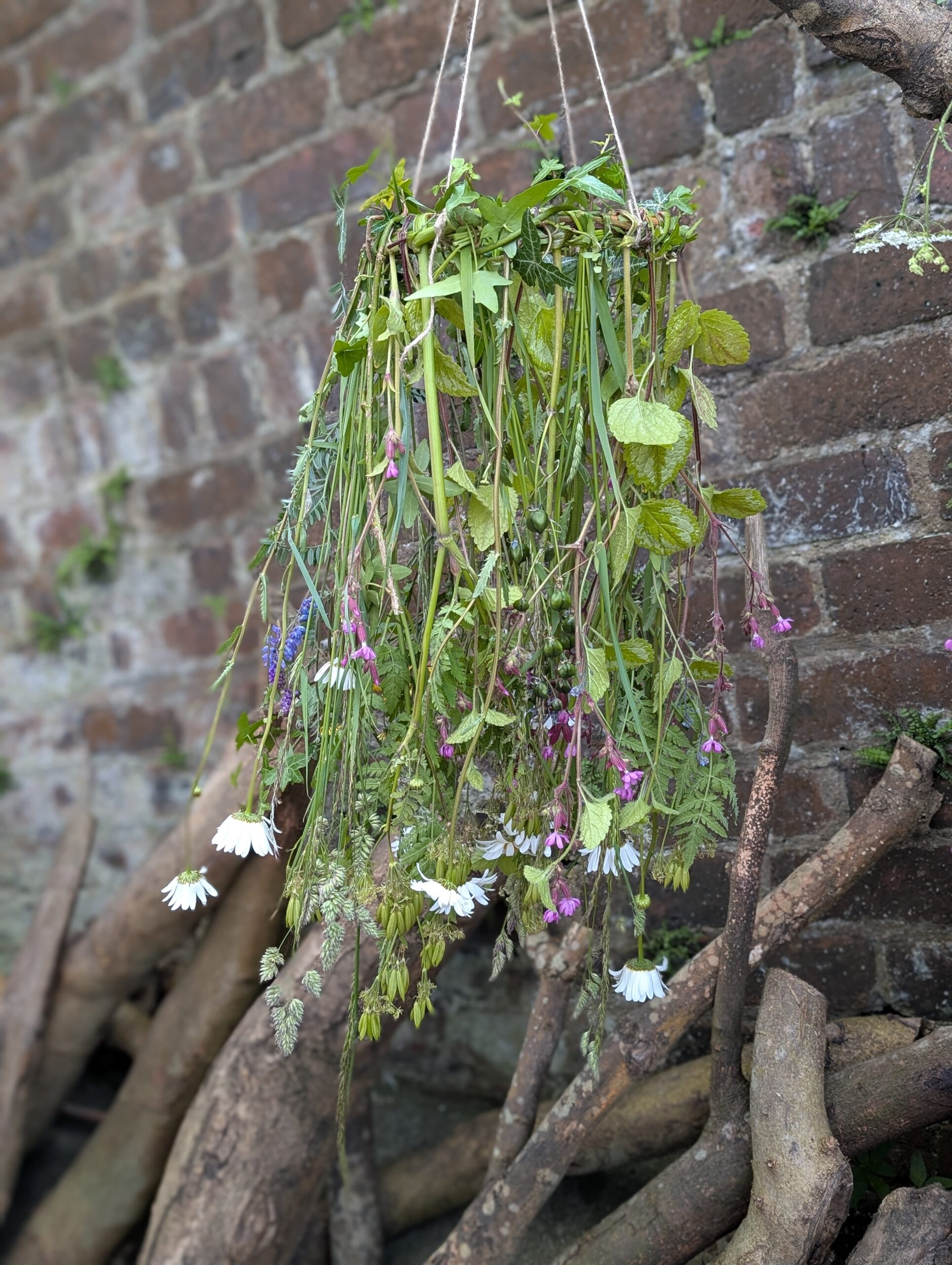Foraged Floral Mobiles at Achnaha Woods - 23rd of July - Image 3
