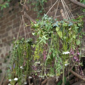 Foraged Floral Mobiles at Achnaha Woods - 23rd of July