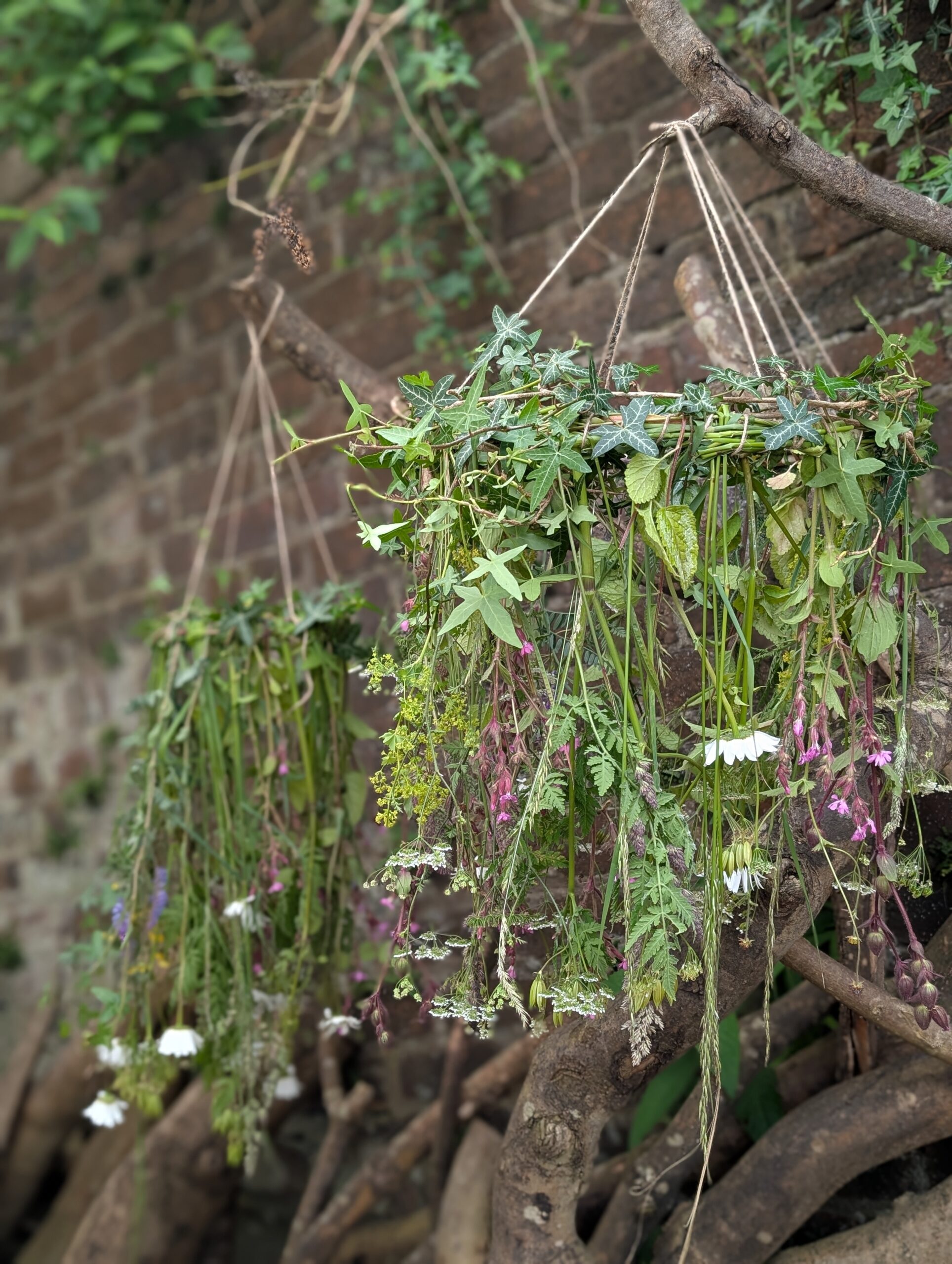 Foraged Floral Mobiles at Achnaha Woods - 23rd of July