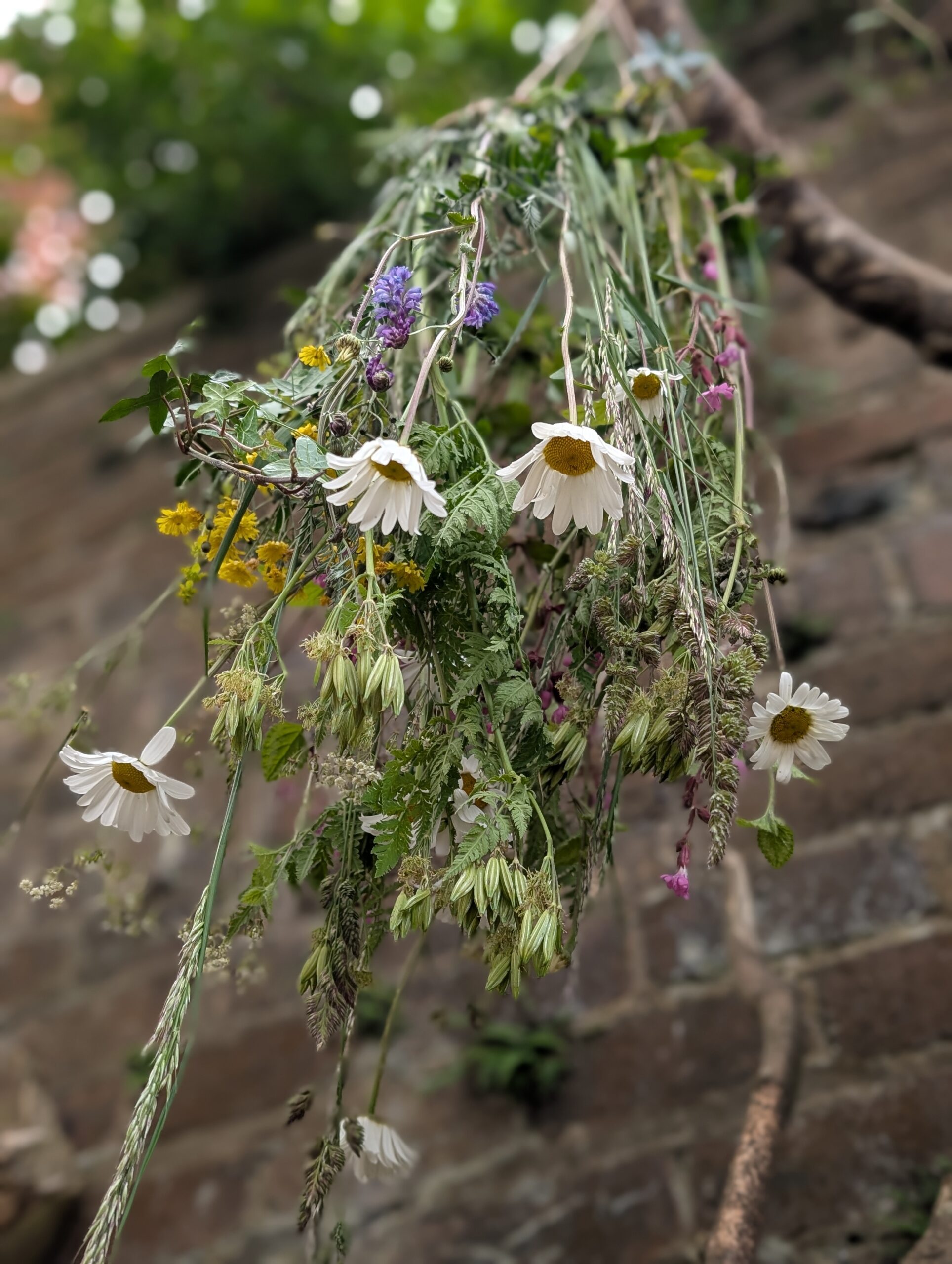 Foraged Floral Mobiles at Achnaha Woods - 23rd of July - Image 2